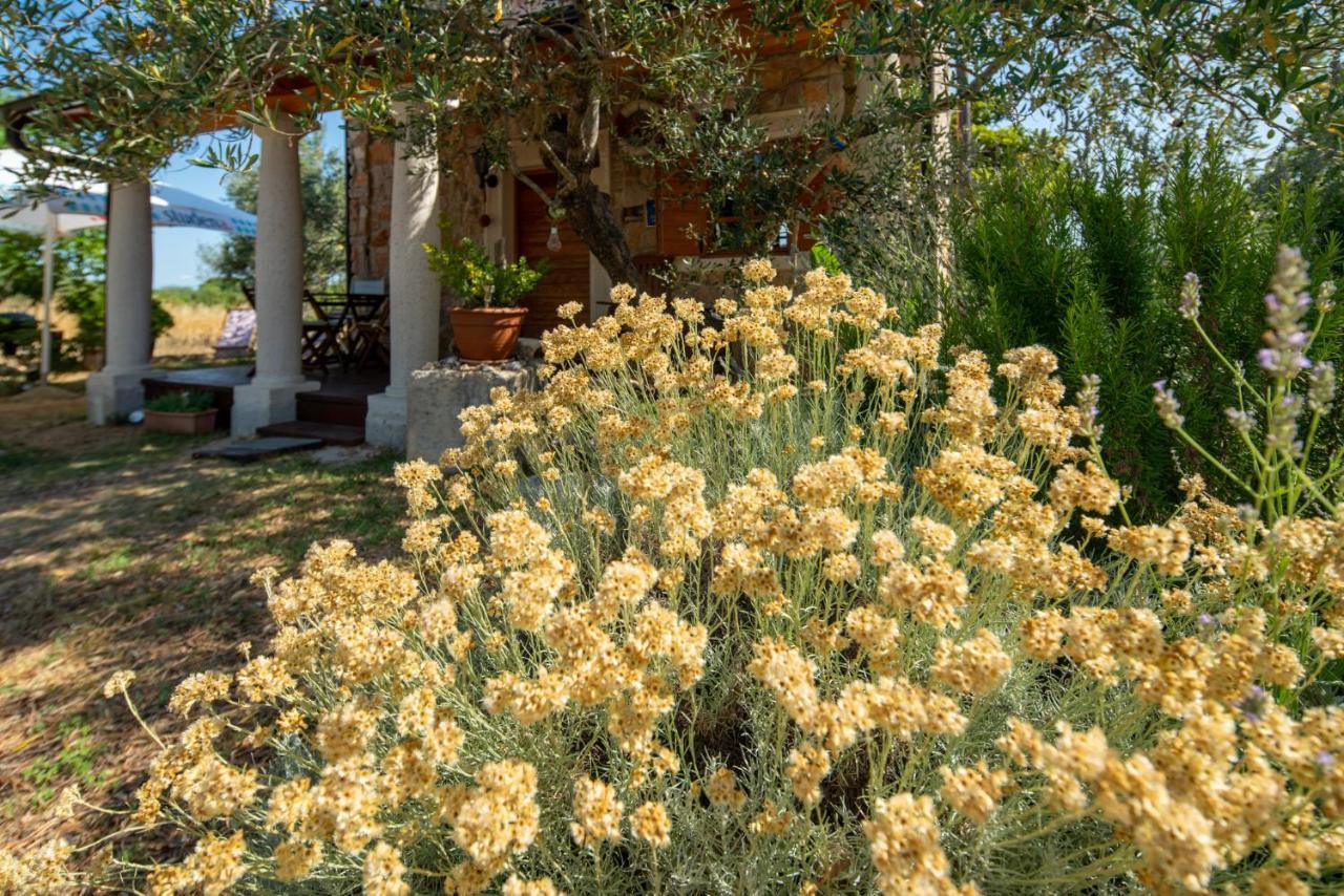 Villa Flaveico Pašman Exterior foto